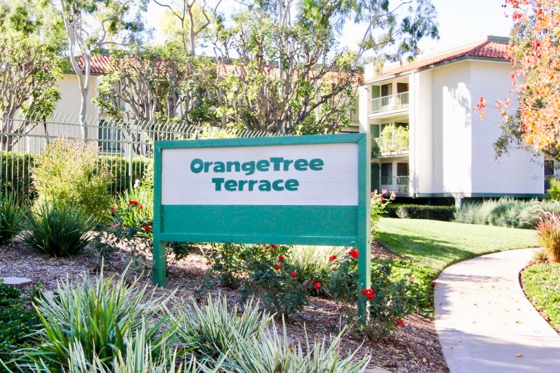 Orangetree Terrace Irvine CA